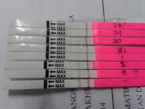 mm5_ovulation test_strip_murah_deaifa_marketing_4mm_opk_berjaya_hamil_upt_urine pregnancy test